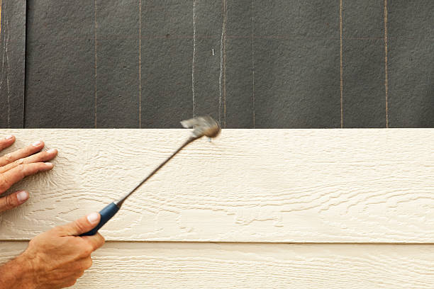 Best Stone Veneer Siding  in Erie, CO